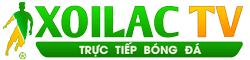 đá Gà 179 - băng gối